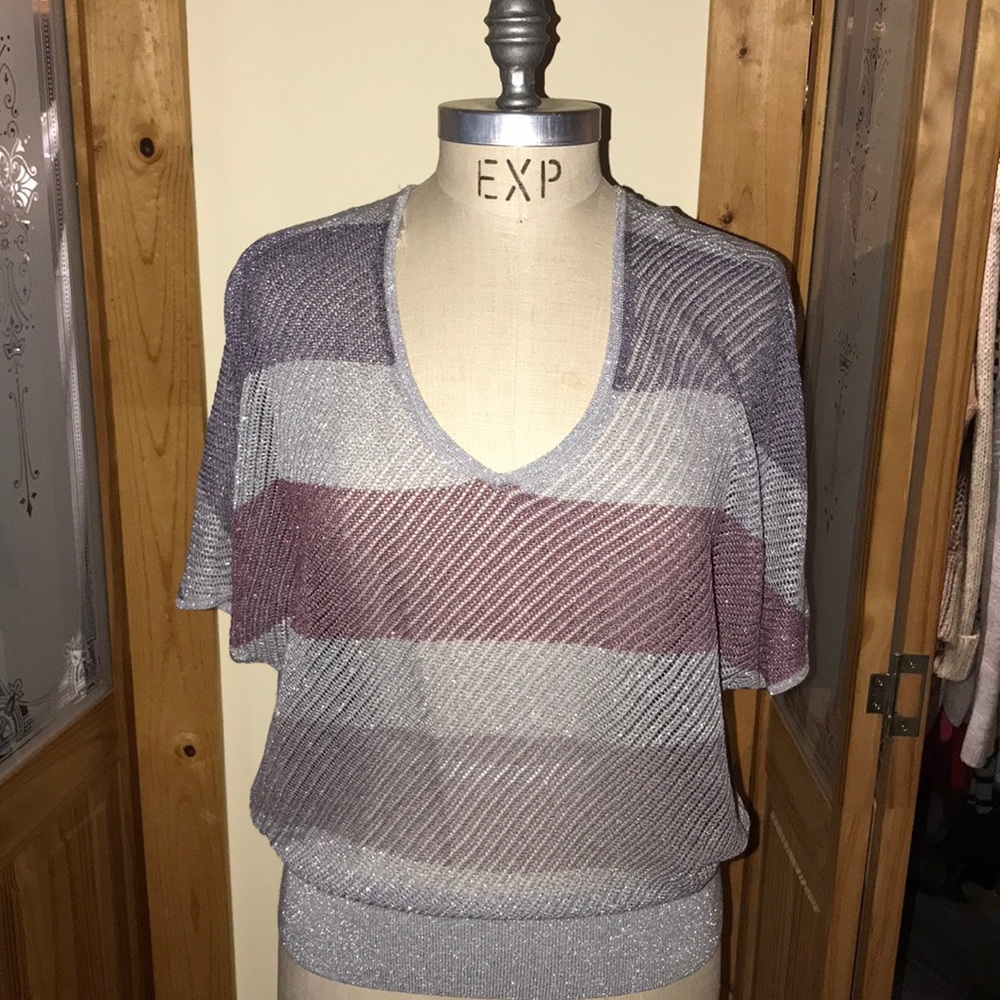Express Light Weight Sweater
